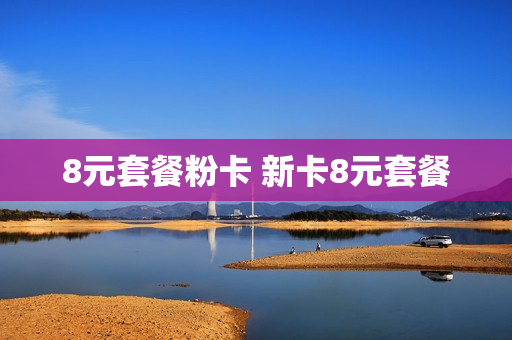 8元套餐粉卡 新卡8元套餐