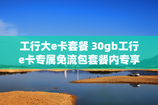 工行大e卡套餐 30gb工行e卡专属免流包套餐内专享免费流量300g