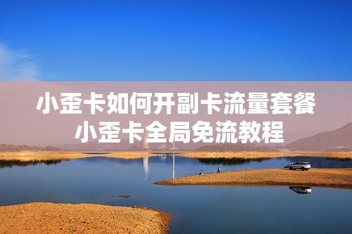 小歪卡如何开副卡流量套餐 小歪卡全局免流教程