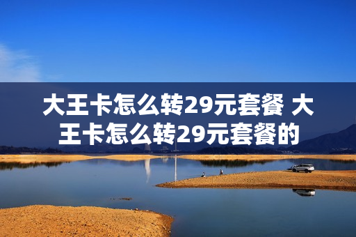 大王卡怎么转29元套餐 大王卡怎么转29元套餐的