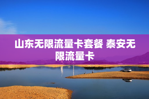 山东无限流量卡套餐 泰安无限流量卡