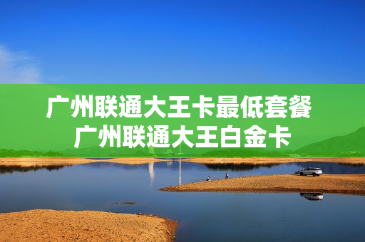 广州联通大王卡最低套餐 广州联通大王白金卡