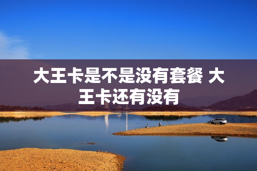 大王卡是不是没有套餐 大王卡还有没有