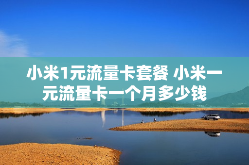小米1元流量卡套餐 小米一元流量卡一个月多少钱