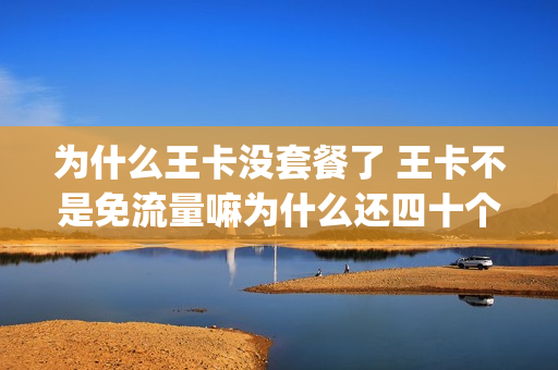为什么王卡没套餐了 王卡不是免流量嘛为什么还四十个g