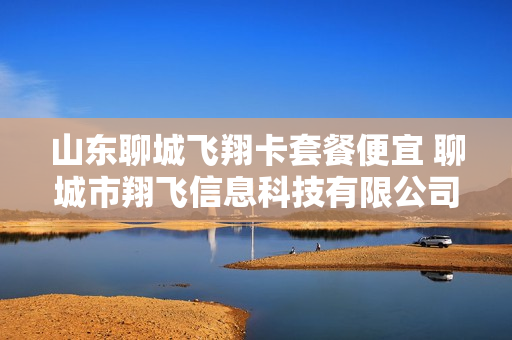 山东聊城飞翔卡套餐便宜 聊城市翔飞信息科技有限公司