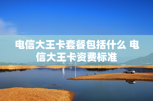 电信大王卡套餐包括什么 电信大王卡资费标准