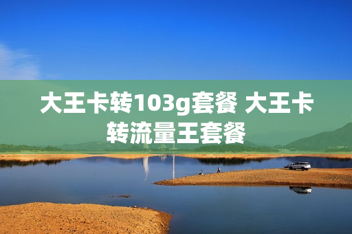 大王卡转103g套餐 大王卡转流量王套餐