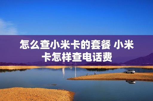 怎么查小米卡的套餐 小米卡怎样查电话费