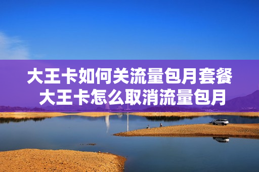 大王卡如何关流量包月套餐 大王卡怎么取消流量包月