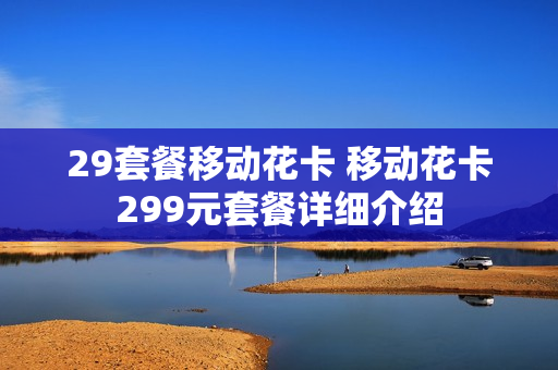 29套餐移动花卡 移动花卡299元套餐详细介绍