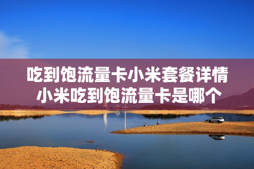 吃到饱流量卡小米套餐详情 小米吃到饱流量卡是哪个运营商