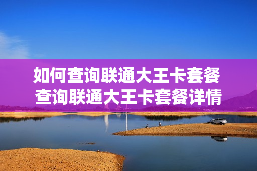 如何查询联通大王卡套餐 查询联通大王卡套餐详情