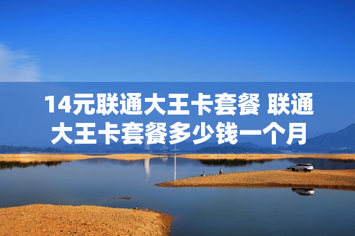 14元联通大王卡套餐 联通大王卡套餐多少钱一个月