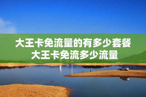 大王卡免流量的有多少套餐 大王卡免流多少流量