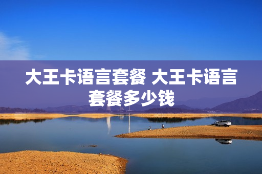大王卡语言套餐 大王卡语言套餐多少钱