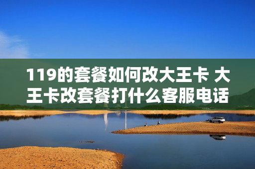 119的套餐如何改大王卡 大王卡改套餐打什么客服电话