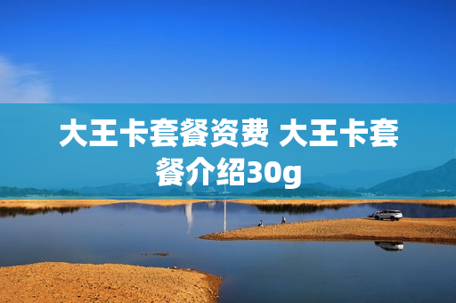 大王卡套餐资费 大王卡套餐介绍30g