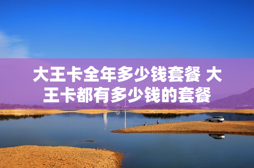 大王卡全年多少钱套餐 大王卡都有多少钱的套餐