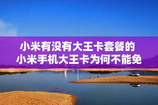 小米有没有大王卡套餐的 小米手机大王卡为何不能免流量