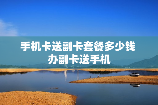 手机卡送副卡套餐多少钱 办副卡送手机