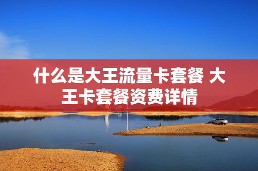 什么是大王流量卡套餐 大王卡套餐资费详情