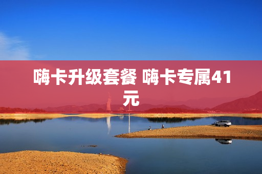 嗨卡升级套餐 嗨卡专属41元