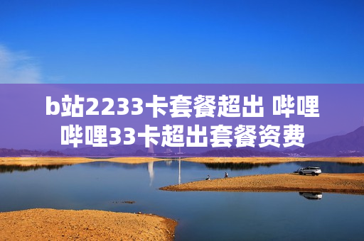 b站2233卡套餐超出 哔哩哔哩33卡超出套餐资费