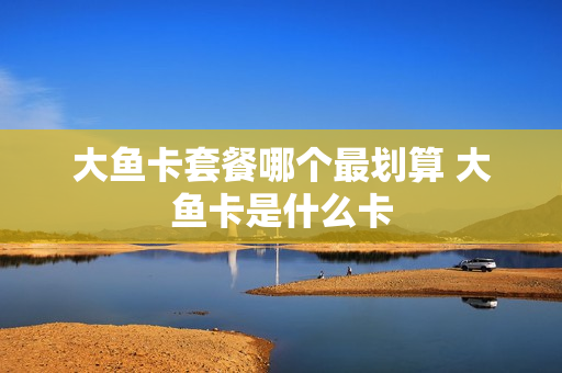 大鱼卡套餐哪个最划算 大鱼卡是什么卡