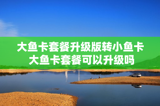 大鱼卡套餐升级版转小鱼卡 大鱼卡套餐可以升级吗
