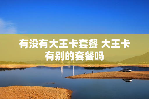 有没有大王卡套餐 大王卡有别的套餐吗