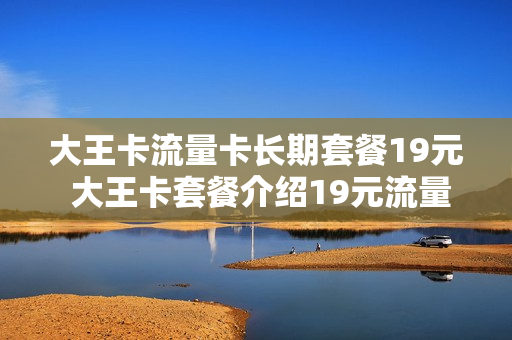 大王卡流量卡长期套餐19元 大王卡套餐介绍19元流量怎么算