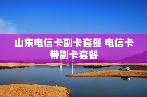 山东电信卡副卡套餐 电信卡带副卡套餐