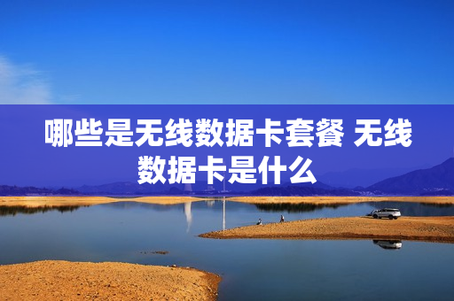 哪些是无线数据卡套餐 无线数据卡是什么