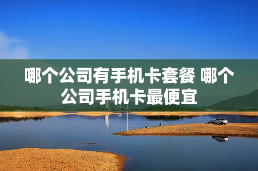 哪个公司有手机卡套餐 哪个公司手机卡最便宜