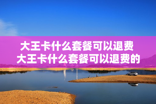 大王卡什么套餐可以退费 大王卡什么套餐可以退费的