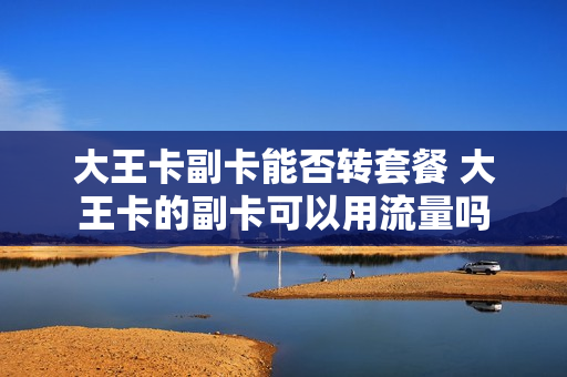 大王卡副卡能否转套餐 大王卡的副卡可以用流量吗