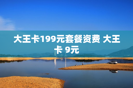 大王卡199元套餐资费 大王卡 9元