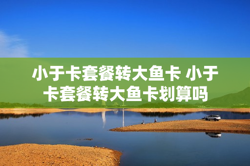 小于卡套餐转大鱼卡 小于卡套餐转大鱼卡划算吗
