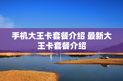 手机大王卡套餐介绍 最新大王卡套餐介绍