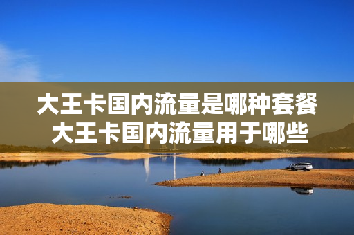 大王卡国内流量是哪种套餐 大王卡国内流量用于哪些软件