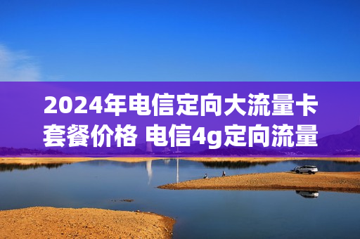 2024年电信定向大流量卡套餐价格 电信4g定向流量包