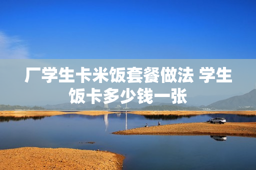 厂学生卡米饭套餐做法 学生饭卡多少钱一张