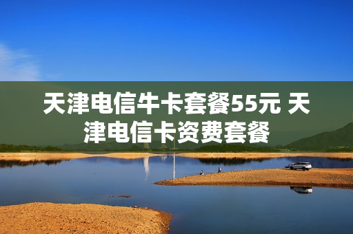 天津电信牛卡套餐55元 天津电信卡资费套餐