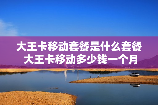 大王卡移动套餐是什么套餐 大王卡移动多少钱一个月
