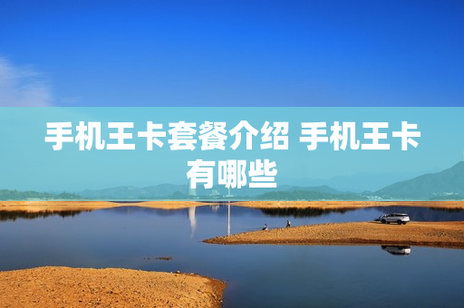 手机王卡套餐介绍 手机王卡有哪些