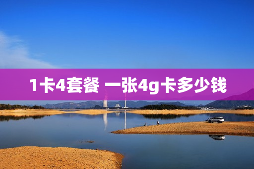 1卡4套餐 一张4g卡多少钱