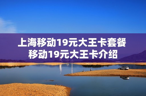 上海移动19元大王卡套餐 移动19元大王卡介绍