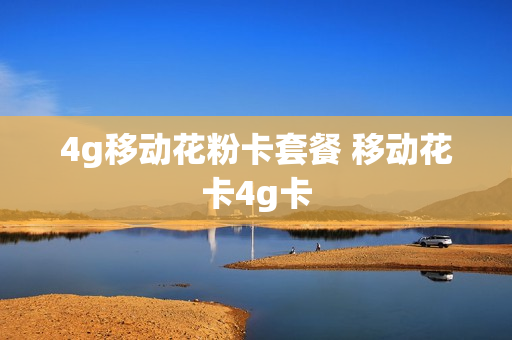 4g移动花粉卡套餐 移动花卡4g卡