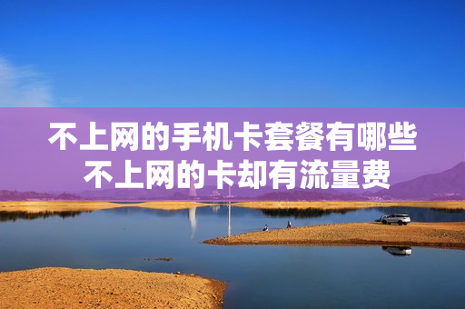 不上网的手机卡套餐有哪些 不上网的卡却有流量费